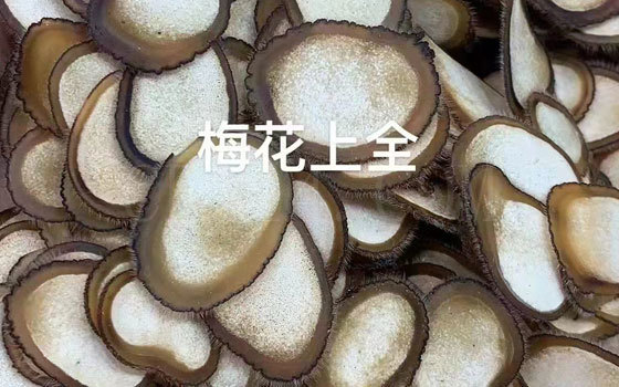 漳州梅花鹿茸片